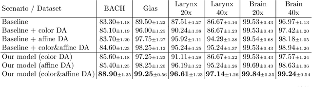 Figure 4 for Automatic Data Augmentation Learning using Bilevel Optimization for Histopathological Images