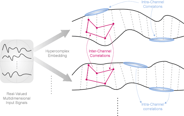 Figure 4 for Demystifying the Hypercomplex: Inductive Biases in Hypercomplex Deep Learning