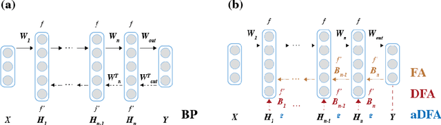 Figure 3 for Training Spiking Neural Networks via Augmented Direct Feedback Alignment