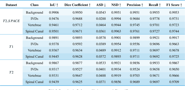 Figure 4 for Pioneering Precision in Lumbar Spine MRI Segmentation with Advanced Deep Learning and Data Enhancement