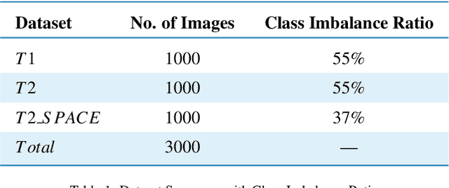 Figure 2 for Pioneering Precision in Lumbar Spine MRI Segmentation with Advanced Deep Learning and Data Enhancement