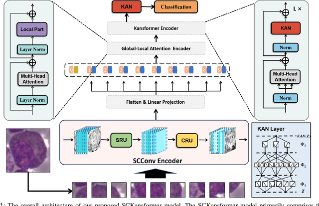 Figure 1 for SCKansformer: Fine-Grained Classification of Bone Marrow Cells via Kansformer Backbone and Hierarchical Attention Mechanisms