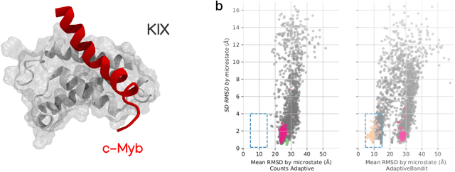 Figure 1 for Binding-and-folding recognition of an intrinsically disordered protein using online learning molecular dynamics