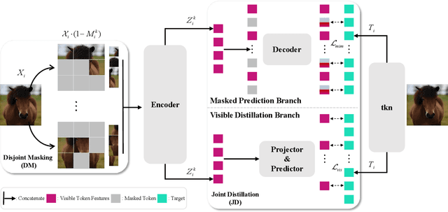 Figure 3 for Disjoint Masking with Joint Distillation for Efficient Masked Image Modeling