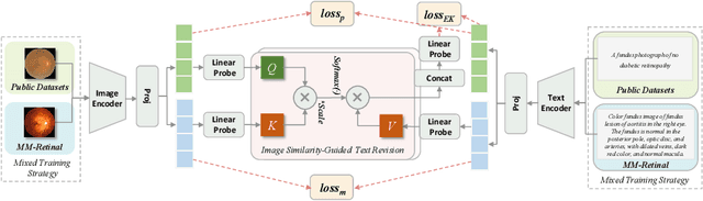 Figure 3 for MM-Retinal: Knowledge-Enhanced Foundational Pretraining with Fundus Image-Text Expertise