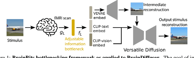 Figure 1 for BrainBits: How Much of the Brain are Generative Reconstruction Methods Using?