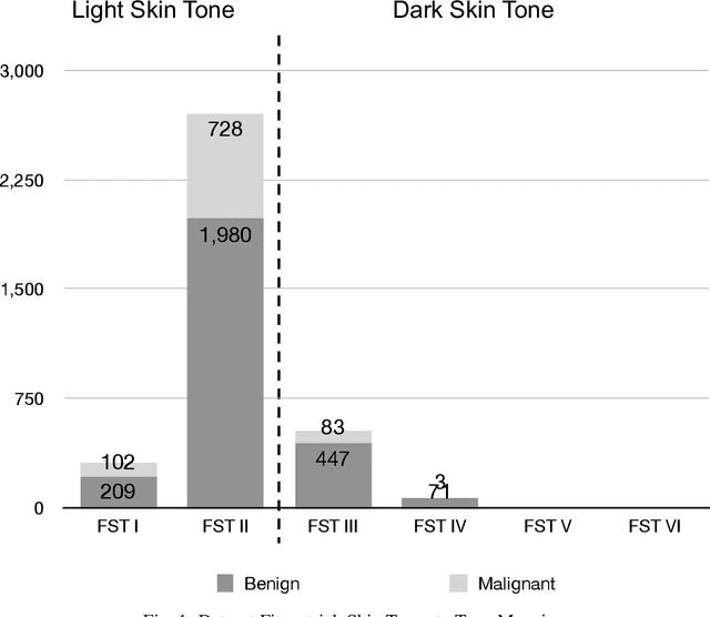 Figure 1 for Skin Cancer Machine Learning Model Tone Bias