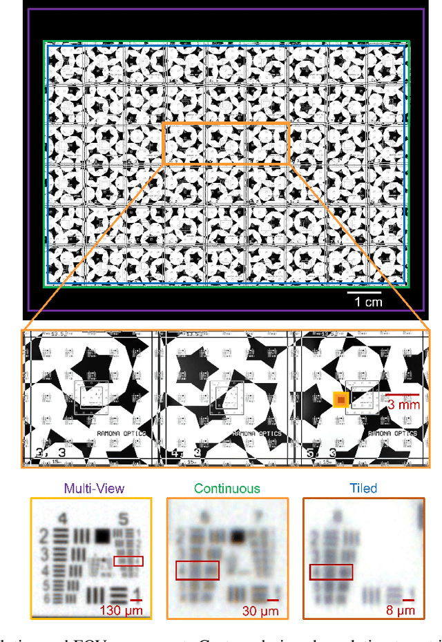 Figure 4 for Multi-scale gigapixel microscopy using a multi-camera array microscope