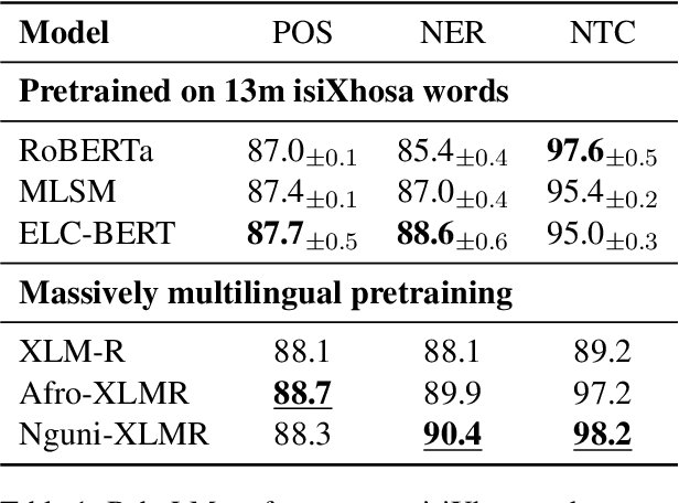 Figure 1 for BabyLMs for isiXhosa: Data-Efficient Language Modelling in a Low-Resource Context