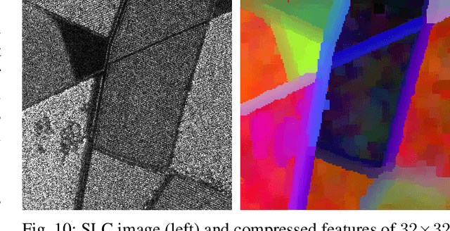 Figure 2 for SAFE: a SAR Feature Extractor based on self-supervised learning and masked Siamese ViTs
