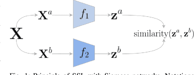 Figure 1 for SAFE: a SAR Feature Extractor based on self-supervised learning and masked Siamese ViTs