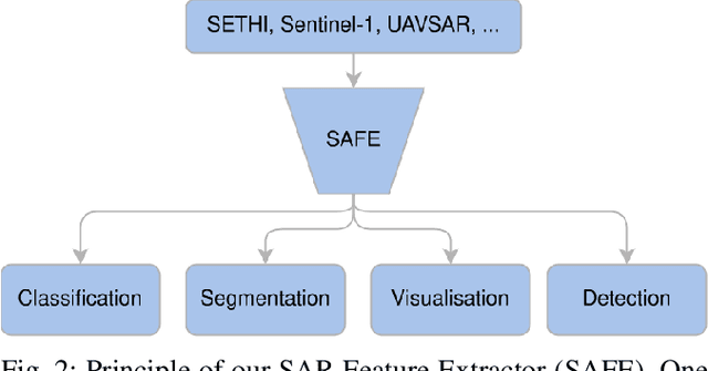 Figure 4 for SAFE: a SAR Feature Extractor based on self-supervised learning and masked Siamese ViTs