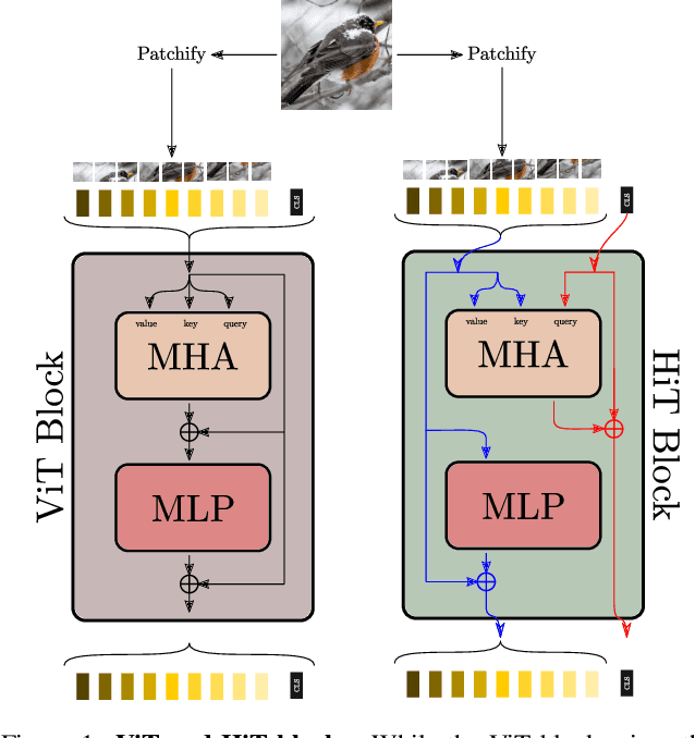 Figure 1 for Disentangling Visual Transformers: Patch-level Interpretability for Image Classification