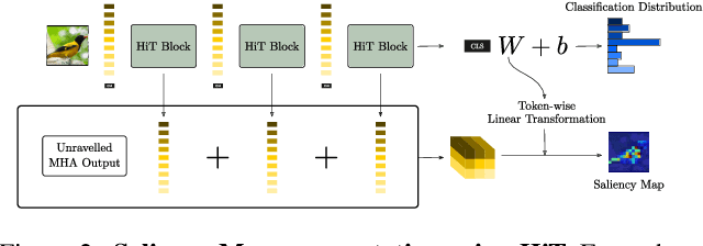 Figure 3 for Disentangling Visual Transformers: Patch-level Interpretability for Image Classification