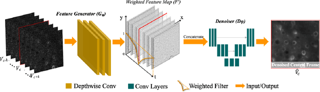 Figure 3 for Unsupervised Microscopy Video Denoising