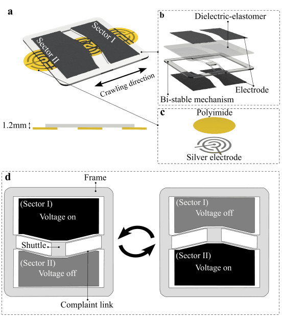 Figure 1 for Bi-stable thin soft robot for in-plane locomotion in narrow space