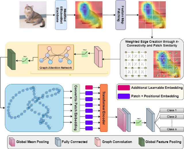 Figure 1 for SAG-ViT: A Scale-Aware, High-Fidelity Patching Approach with Graph Attention for Vision Transformers