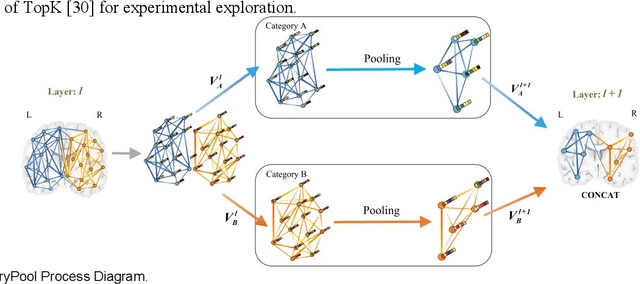 Figure 4 for Temporal Dynamic Synchronous Functional Brain Network for Schizophrenia Diagnosis and Lateralization Analysis