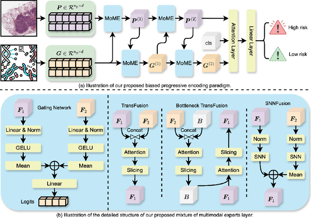 Figure 1 for MoME: Mixture of Multimodal Experts for Cancer Survival Prediction