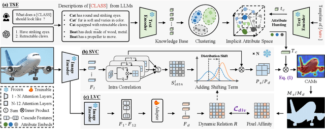 Figure 3 for Exploring CLIP's Dense Knowledge for Weakly Supervised Semantic Segmentation