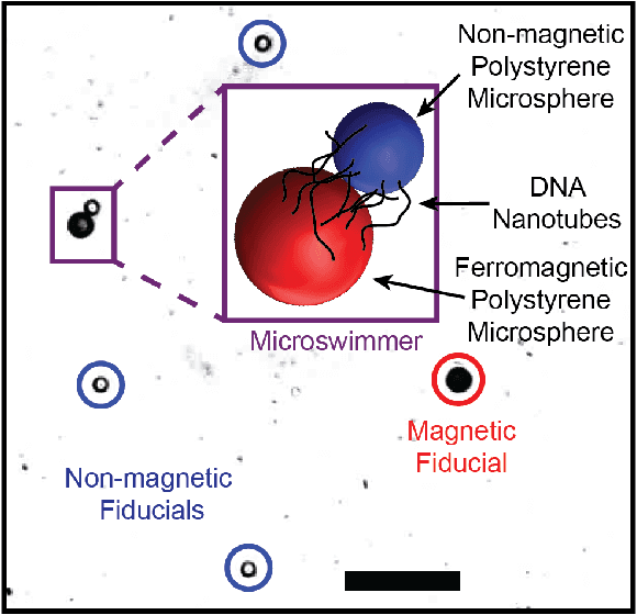 Figure 1 for Measuring DNA Microswimmer Locomotion in Complex Flow Environments