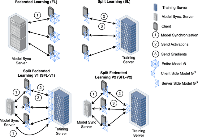 Figure 1 for The Impact of Cut Layer Selection in Split Federated Learning