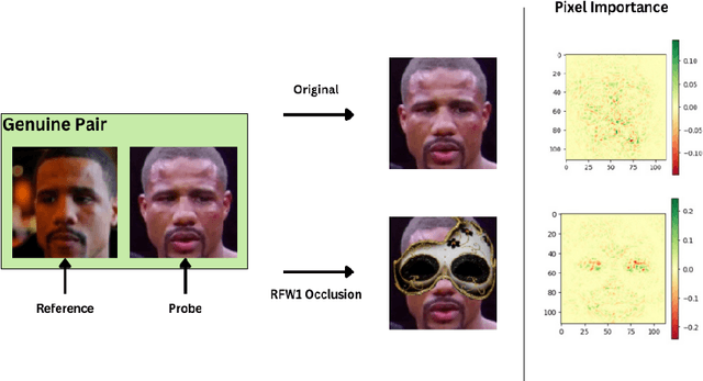 Figure 1 for Fairness Under Cover: Evaluating the Impact of Occlusions on Demographic Bias in Facial Recognition