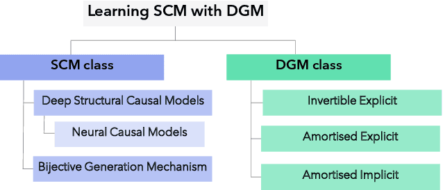 Figure 1 for Learning Structural Causal Models through Deep Generative Models: Methods, Guarantees, and Challenges