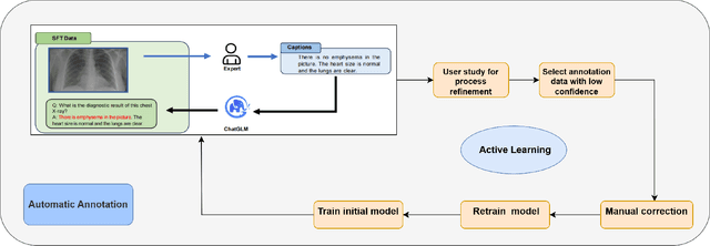 Figure 4 for MedHallBench: A New Benchmark for Assessing Hallucination in Medical Large Language Models