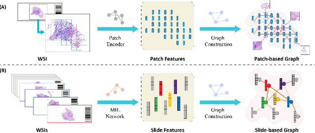 Figure 1 for SlideGCD: Slide-based Graph Collaborative Training with Knowledge Distillation for Whole Slide Image Classification