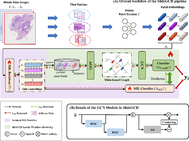 Figure 3 for SlideGCD: Slide-based Graph Collaborative Training with Knowledge Distillation for Whole Slide Image Classification