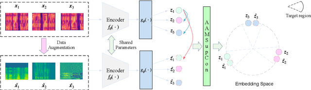 Figure 2 for Speaker Representation Learning via Contrastive Loss with Maximal Speaker Separability