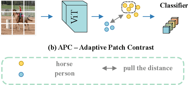 Figure 1 for APC: Adaptive Patch Contrast for Weakly Supervised Semantic Segmentation