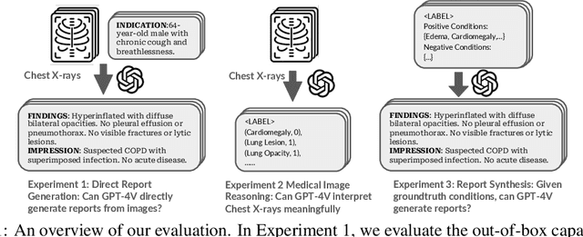 Figure 1 for GPT-4V Cannot Generate Radiology Reports Yet