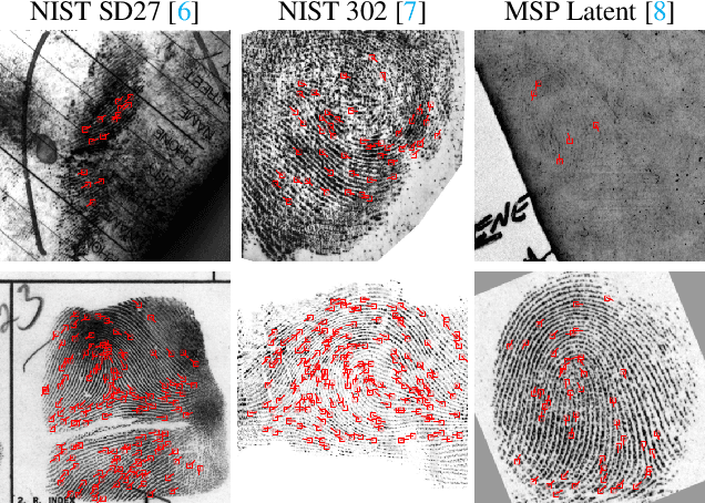 Figure 1 for A Universal Latent Fingerprint Enhancer Using Transformers