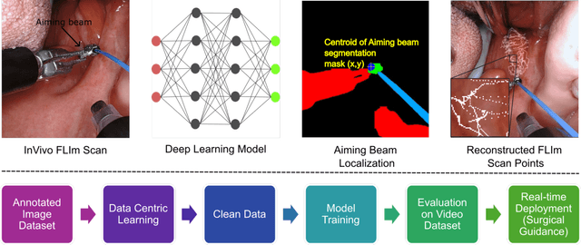 Figure 1 for Data-Centric Learning Framework for Real-Time Detection of Aiming Beam in Fluorescence Lifetime Imaging Guided Surgery