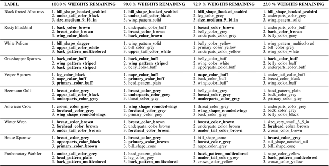 Figure 2 for Exploring the Lottery Ticket Hypothesis with Explainability Methods: Insights into Sparse Network Performance