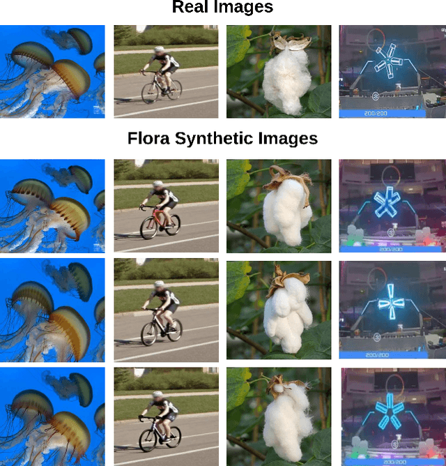 Figure 1 for FLORA: Efficient Synthetic Data Generation for Object Detection in Low-Data Regimes via finetuning Flux LoRA