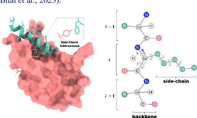 Figure 1 for Full-Atom Peptide Design based on Multi-modal Flow Matching