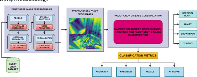 Figure 1 for A Channel Attention-Driven Hybrid CNN Framework for Paddy Leaf Disease Detection