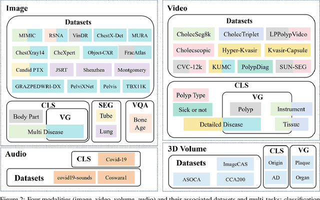 Figure 3 for MedViLaM: A multimodal large language model with advanced generalizability and explainability for medical data understanding and generation