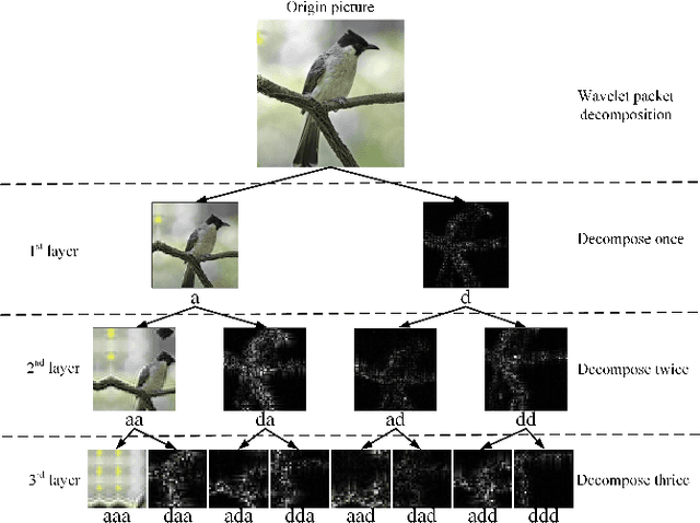 Figure 1 for Towards a Novel Perspective on Adversarial Examples Driven by Frequency