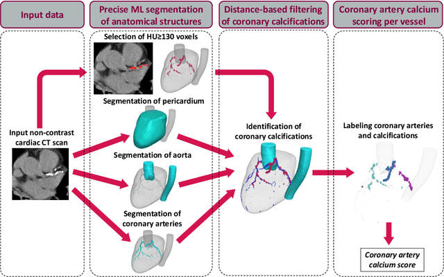 Figure 3 for Enhancing Coronary Artery Calcium Scoring via Multi-Organ Segmentation on Non-Contrast Cardiac Computed Tomography