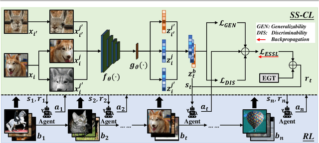 Figure 3 for Rethinking Generalizability and Discriminability of Self-Supervised Learning from Evolutionary Game Theory Perspective