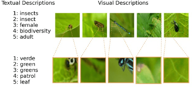 Figure 1 for Exploiting Text-Image Latent Spaces for the Description of Visual Concepts