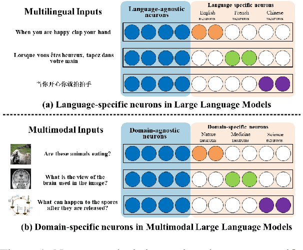 Figure 1 for MMNeuron: Discovering Neuron-Level Domain-Specific Interpretation in Multimodal Large Language Model