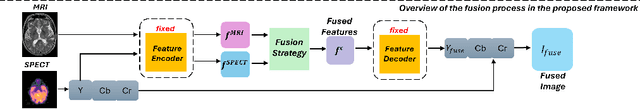 Figure 3 for Edge-Enhanced Dilated Residual Attention Network for Multimodal Medical Image Fusion