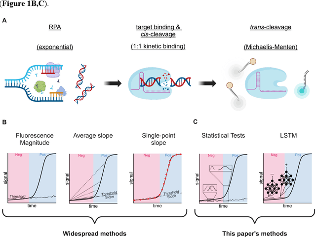 Figure 1 for Machine Learning and statistical classification of CRISPR-Cas12a diagnostic assays