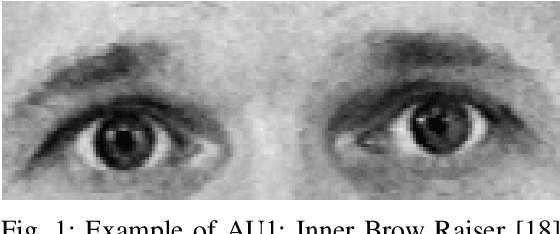 Figure 1 for Exploring Facial Biomarkers for Depression through Temporal Analysis of Action Units
