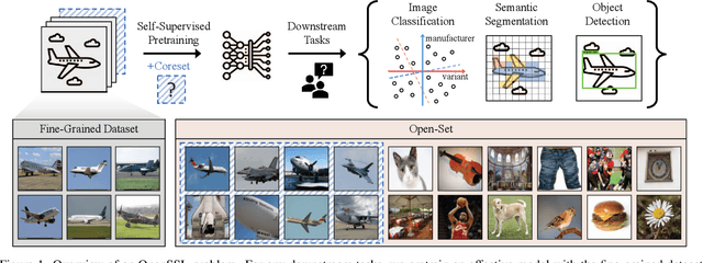 Figure 1 for Coreset Sampling from Open-Set for Fine-Grained Self-Supervised Learning